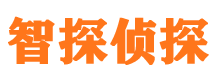 分宜外遇出轨调查取证